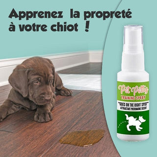 Gadgets d'Eve PETPOT™ : Spray Attractif d’Éducation à la Propreté pour Animaux de Compagnie